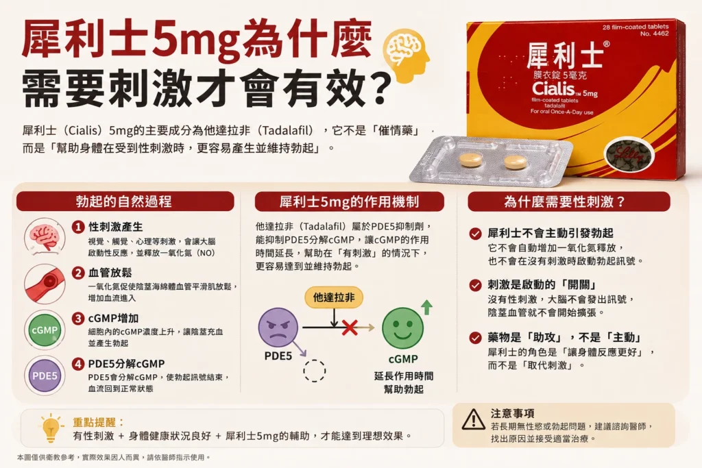 犀利士5mg為什麼需要性刺激才會有效？不是吃了就會勃起